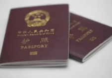 第445页