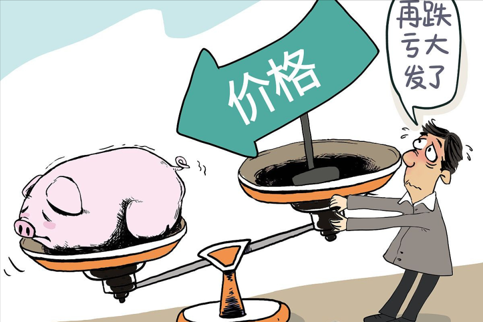 地方新闻 第51页