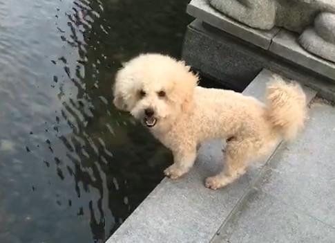 港澳新闻 第52页